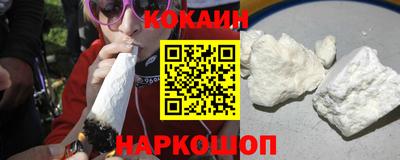 сатива Кингисепп