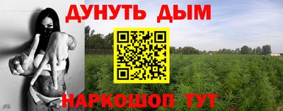 трава Кимры