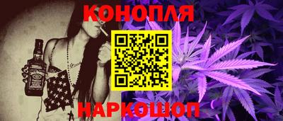 сатива Кингисепп