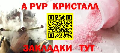 сатива Кингисепп