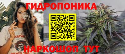 spice Кинель