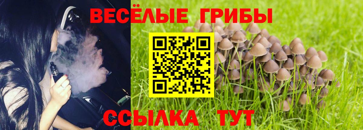Псилоцибиновые грибы GOLDEN TEACHER Комсомольск-на-Амуре